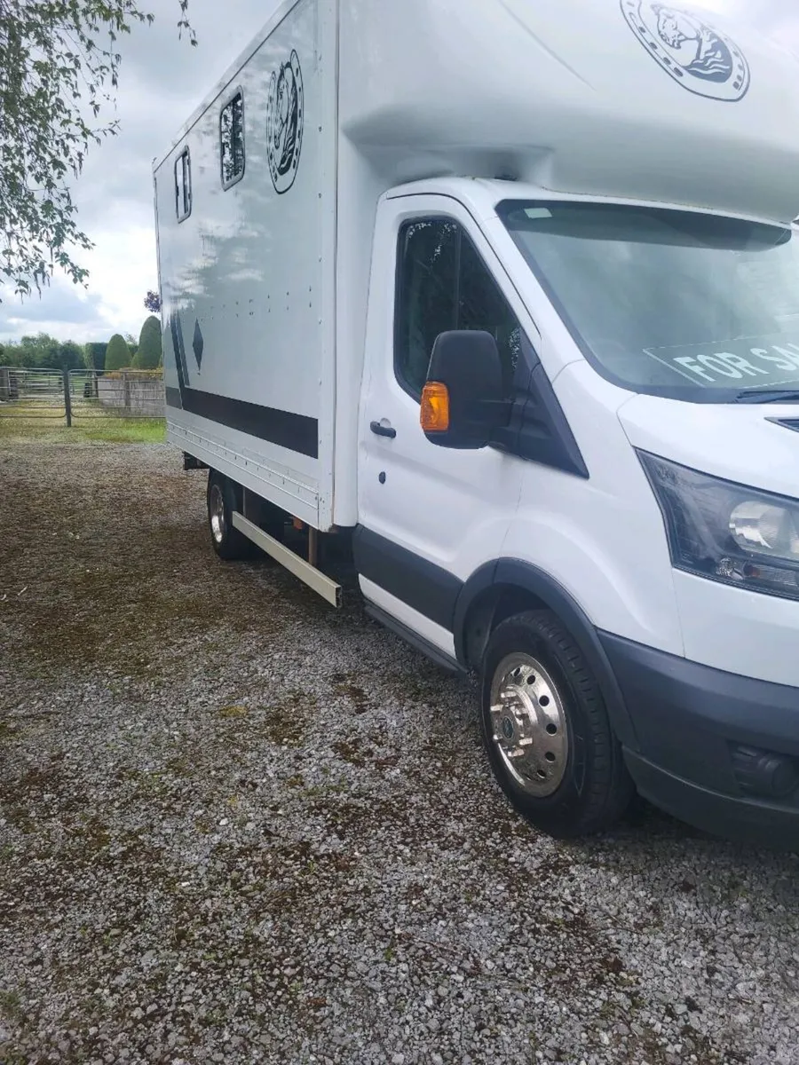 3.5 FORD TRANSIT HORSE LORRY - Image 1