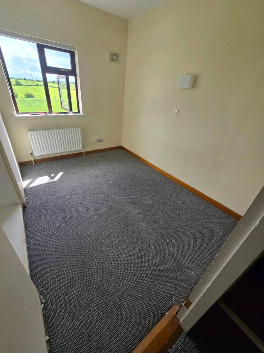 Carpet