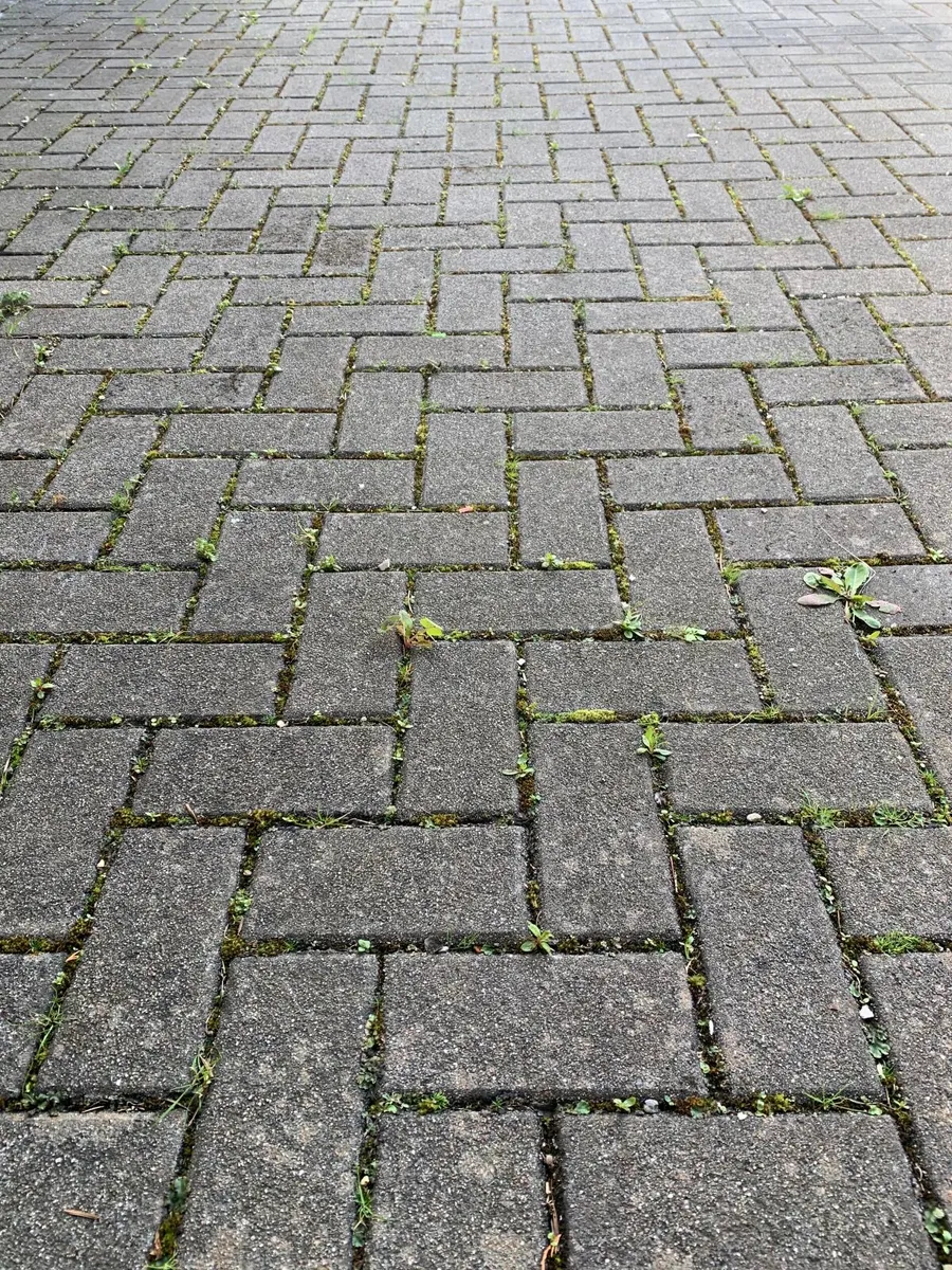 Free Cobblestones - Image 4