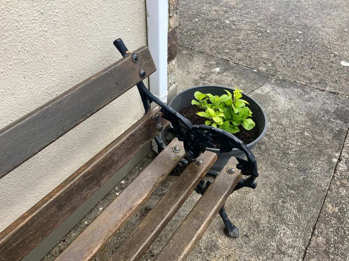 Garden seat - Image 2