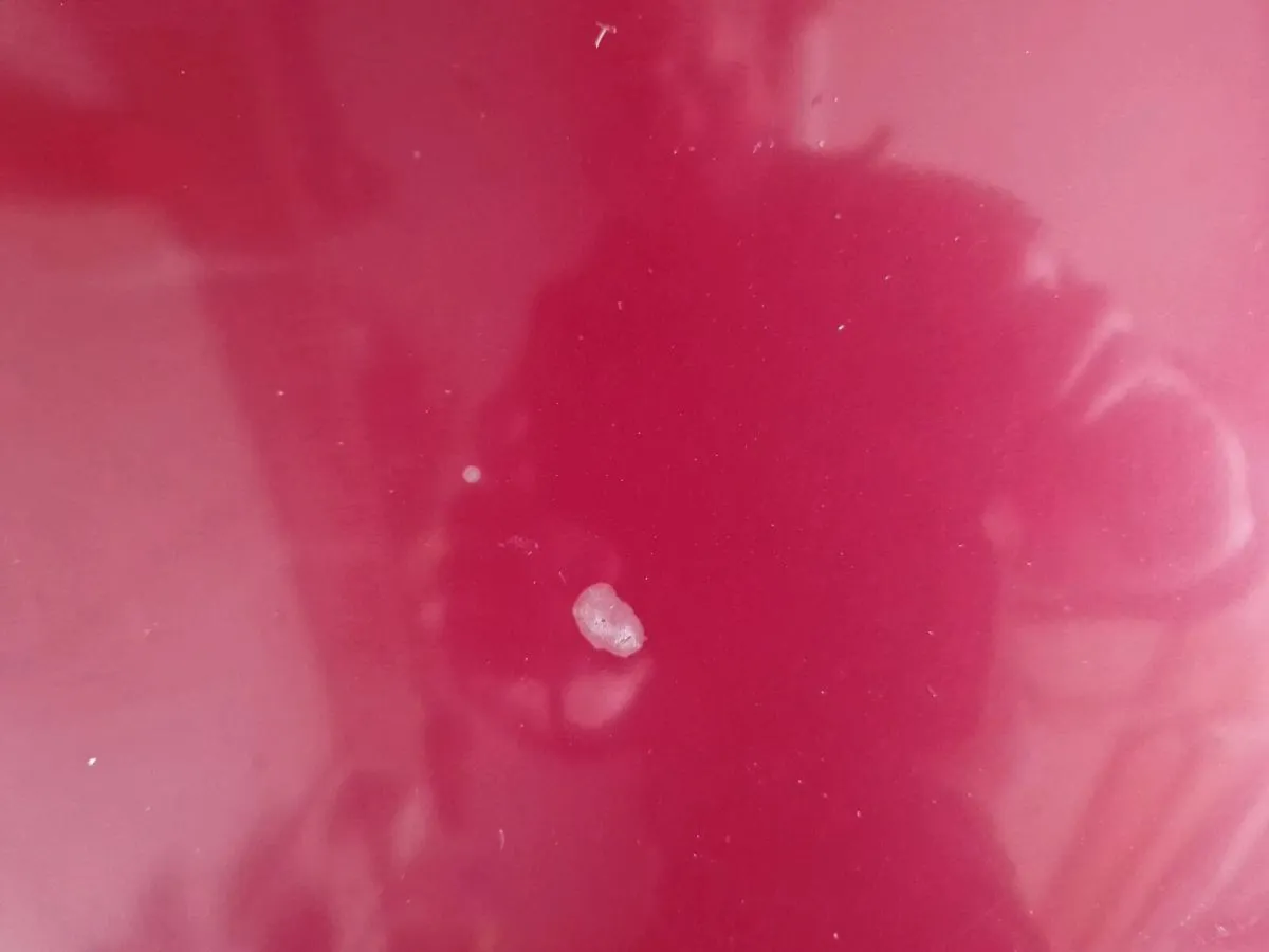 Nissan qashqai Bonnet 2015 red - Image 3