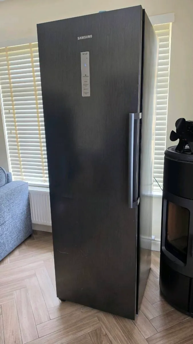 Samsung Full Size Freezer - Image 2