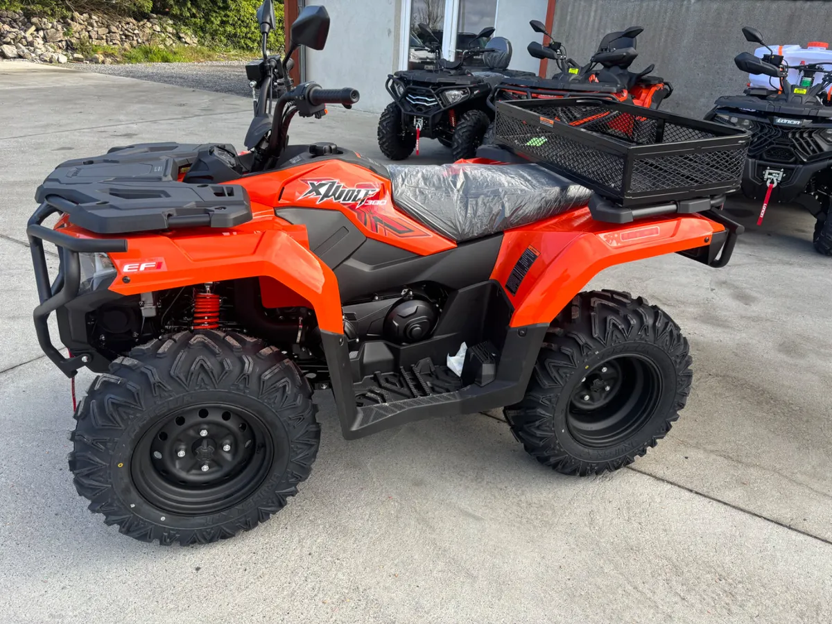 Loncin 300 - Image 1