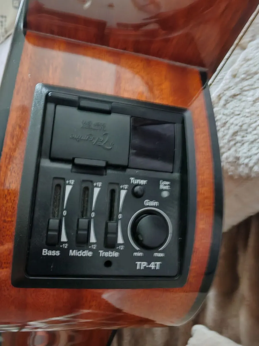 Takamine Electo Accoustic  G series - Image 3