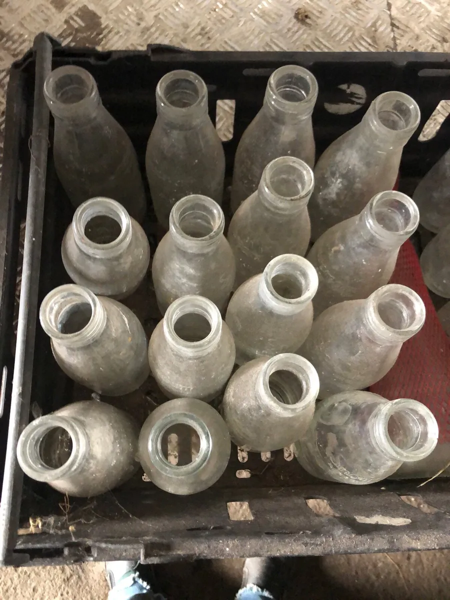 Nenagh Co op glass milk bottles - Image 2