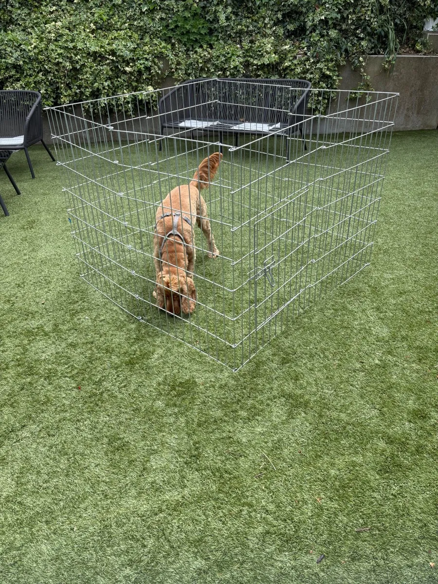 Dog pen - Image 4