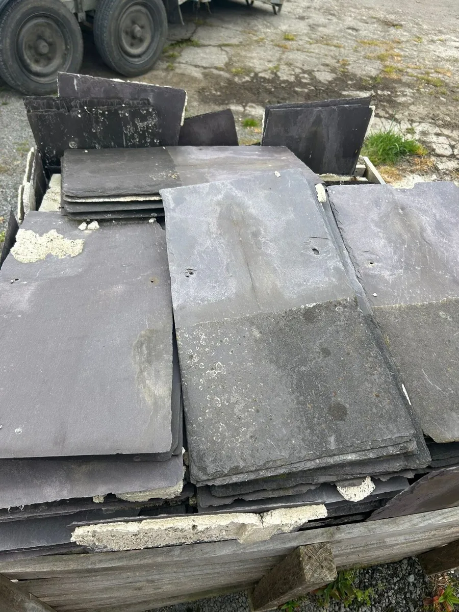 Blue Bangor slates - Image 1