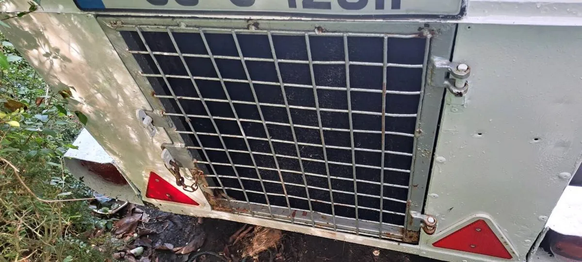 Dog Trailer - Image 4