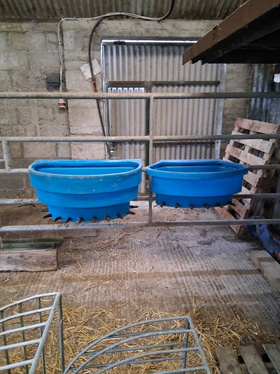 Teat Calf Feeder
