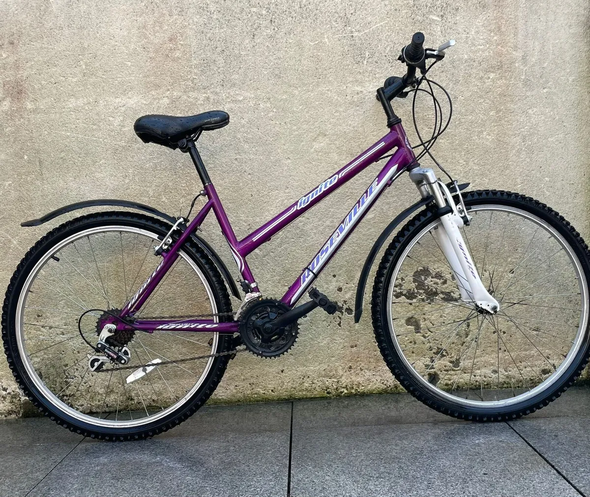 Womans bicycle - Image 1