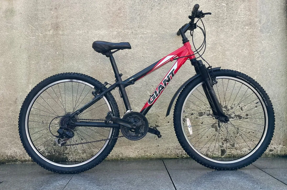 Gaint mountain bike 24inch - Image 2