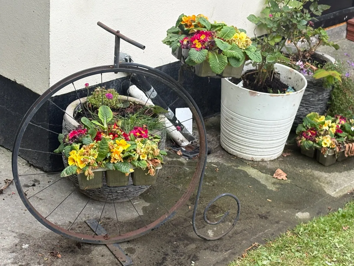 Plant holder