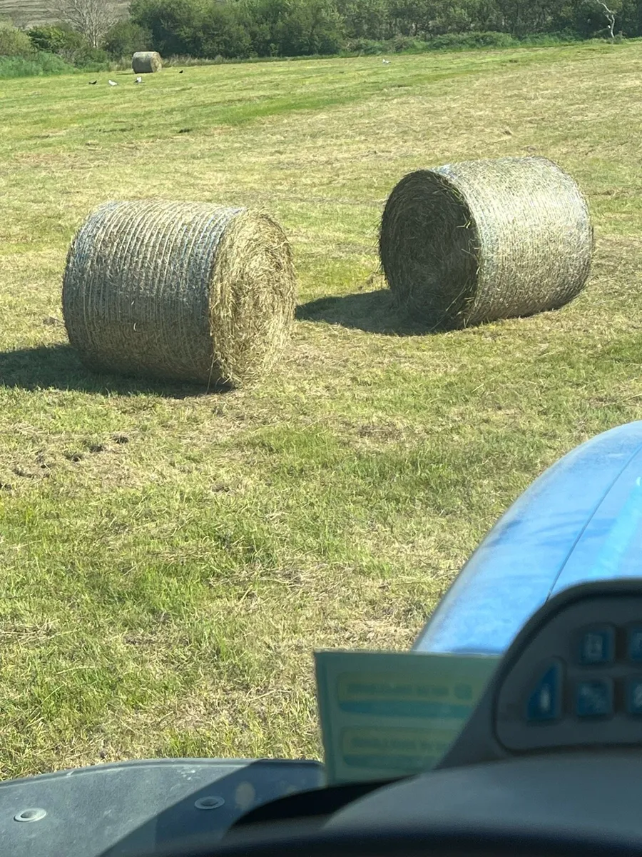 Bales of bedding