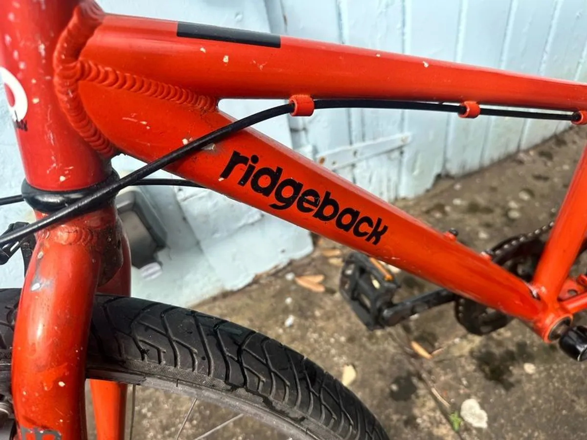 Ridgeback bike age 6-10 years - Image 2