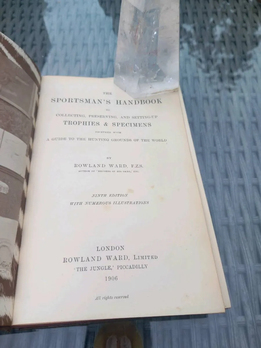 Preserving Trophies handbook antique. D18 POST 7E - Image 3