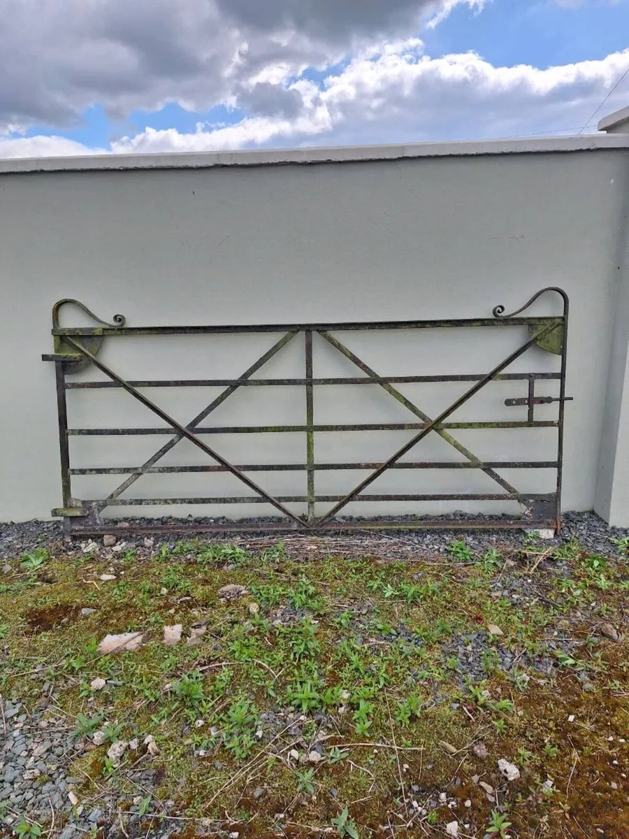 Antique gates & hangers - Image 4