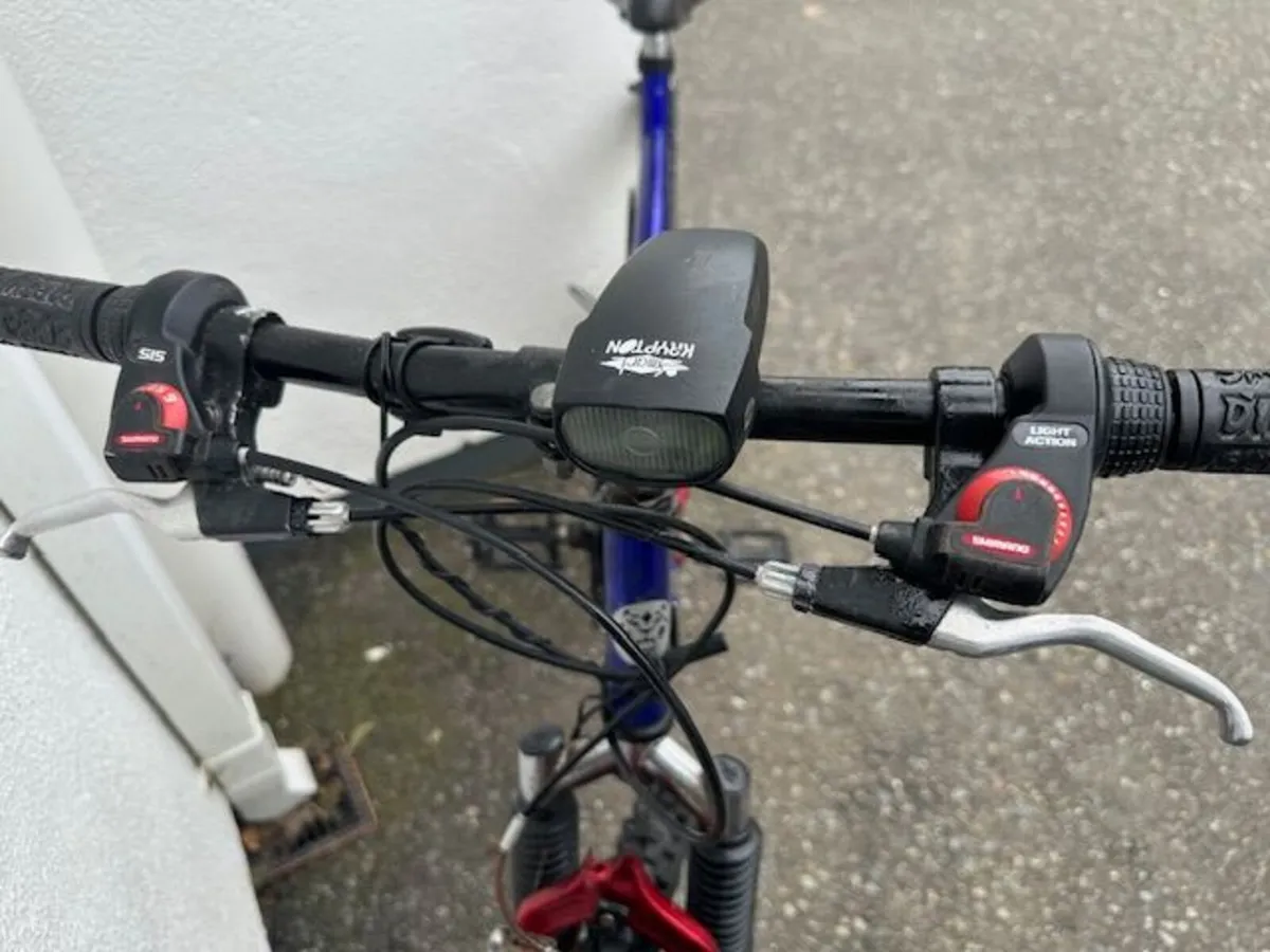 Passat Mountain Bike - Image 2