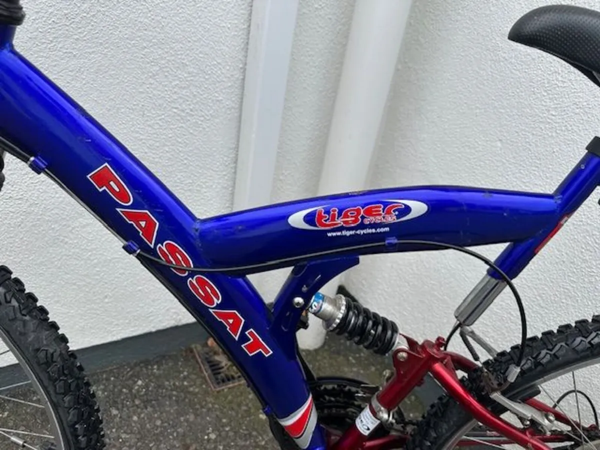 Passat Mountain Bike - Image 3