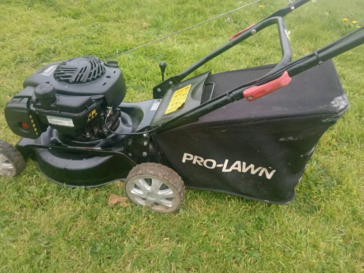 Lawnmowers - Image 4