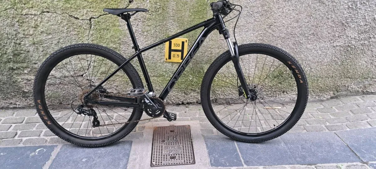 Orbea mountain bike - Image 1