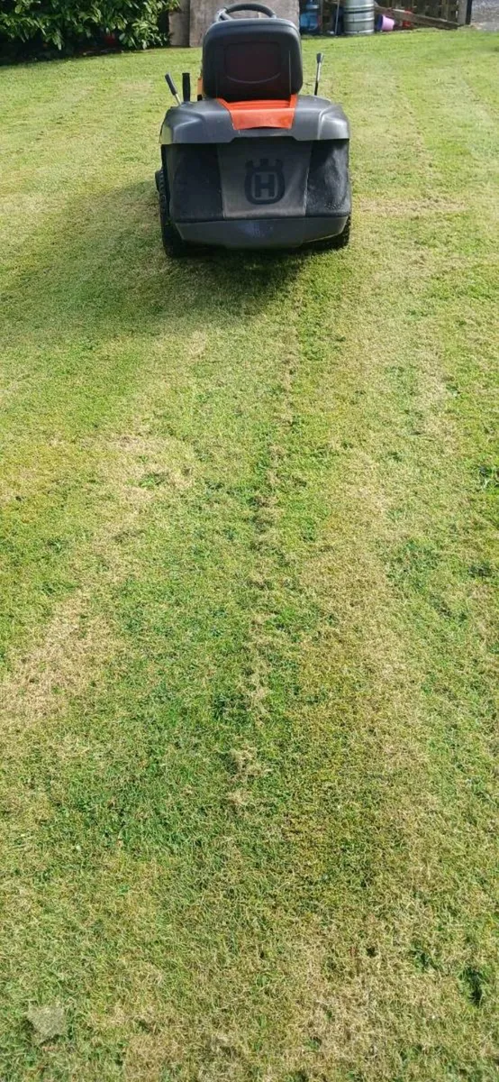 Ride on Mower - Image 3