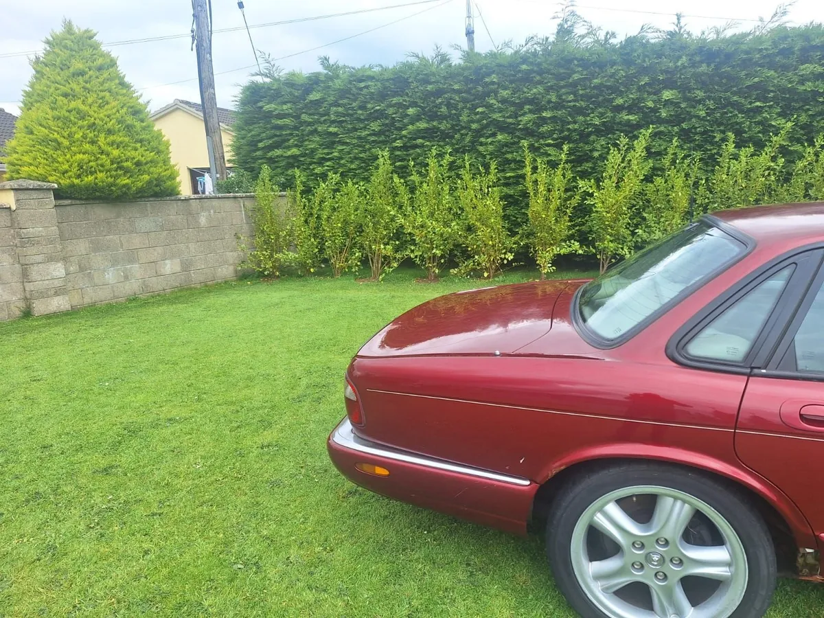 Jaguar XJ 1998 - Image 3