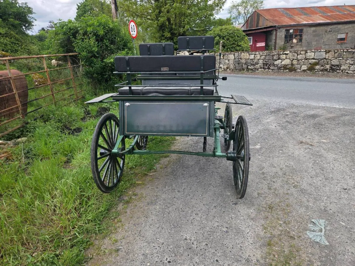 Carriage - Image 2