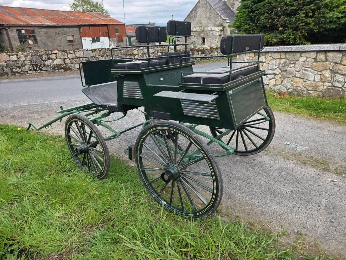Carriage - Image 3