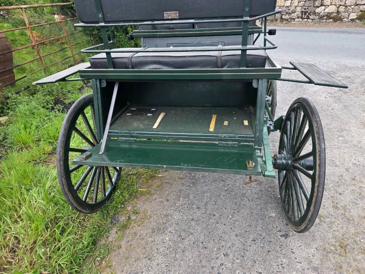 Carriage - Image 4