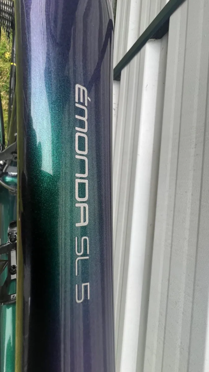 Trek Road Bike - Image 2