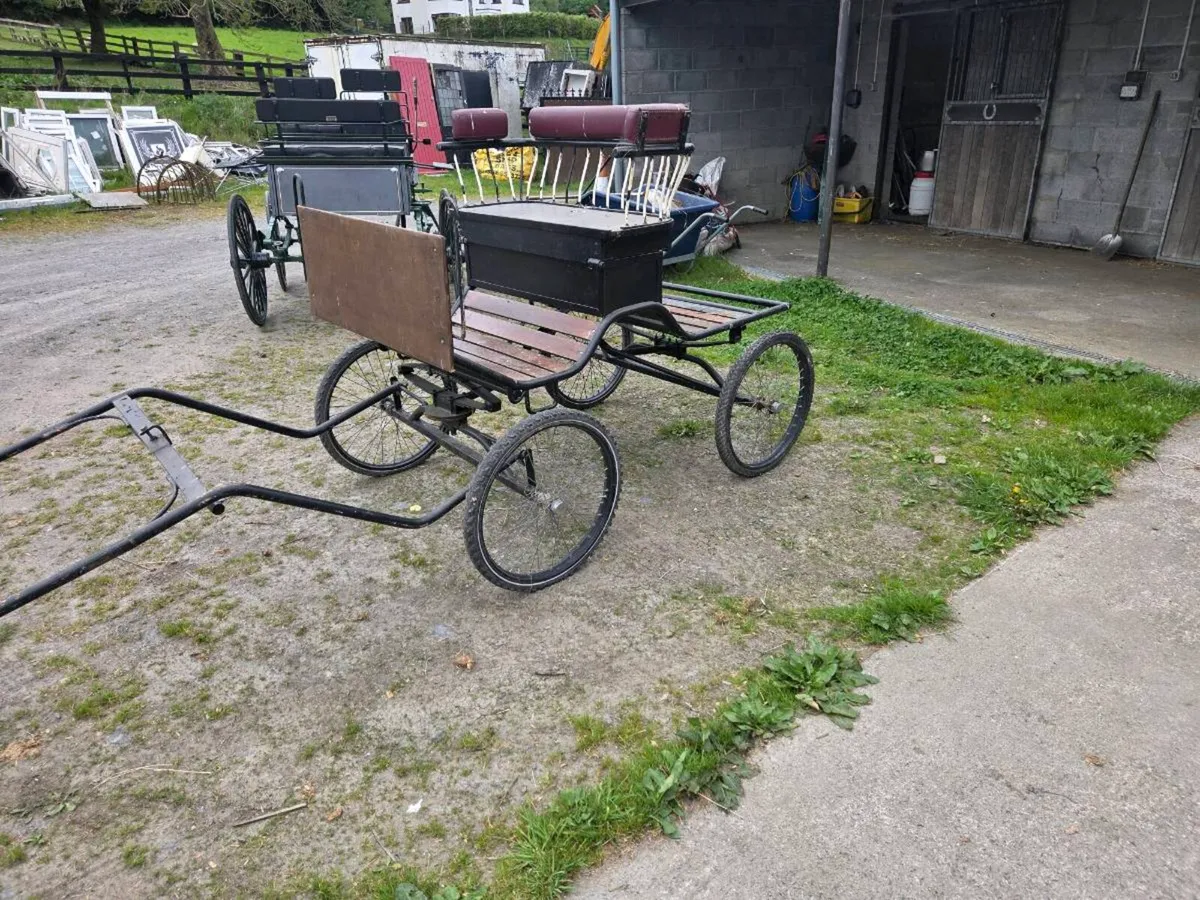 Carriage - Image 3