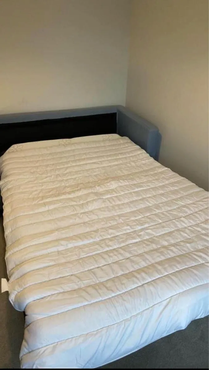 Sofa Bed - Image 1