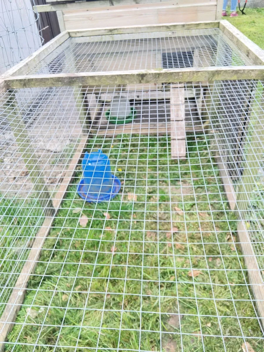 Hen coop - Image 2