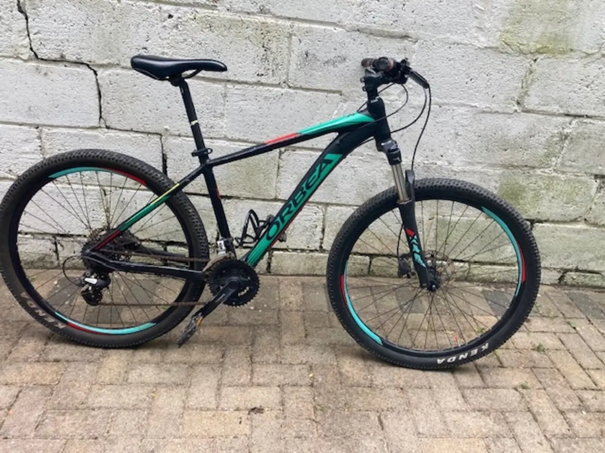 Orbed Mountain Bike - Image 1