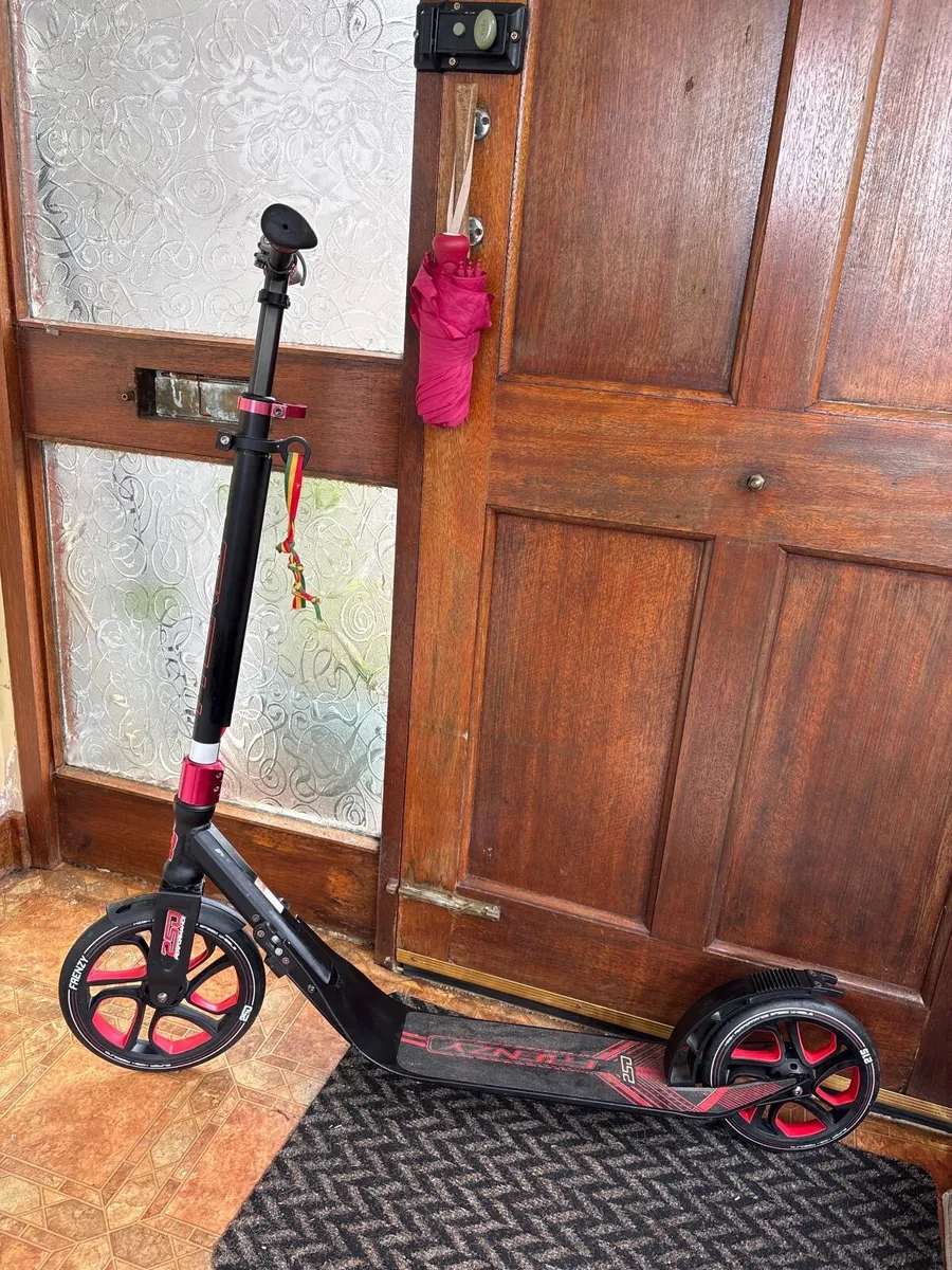 Frenzy Scooter - Image 1
