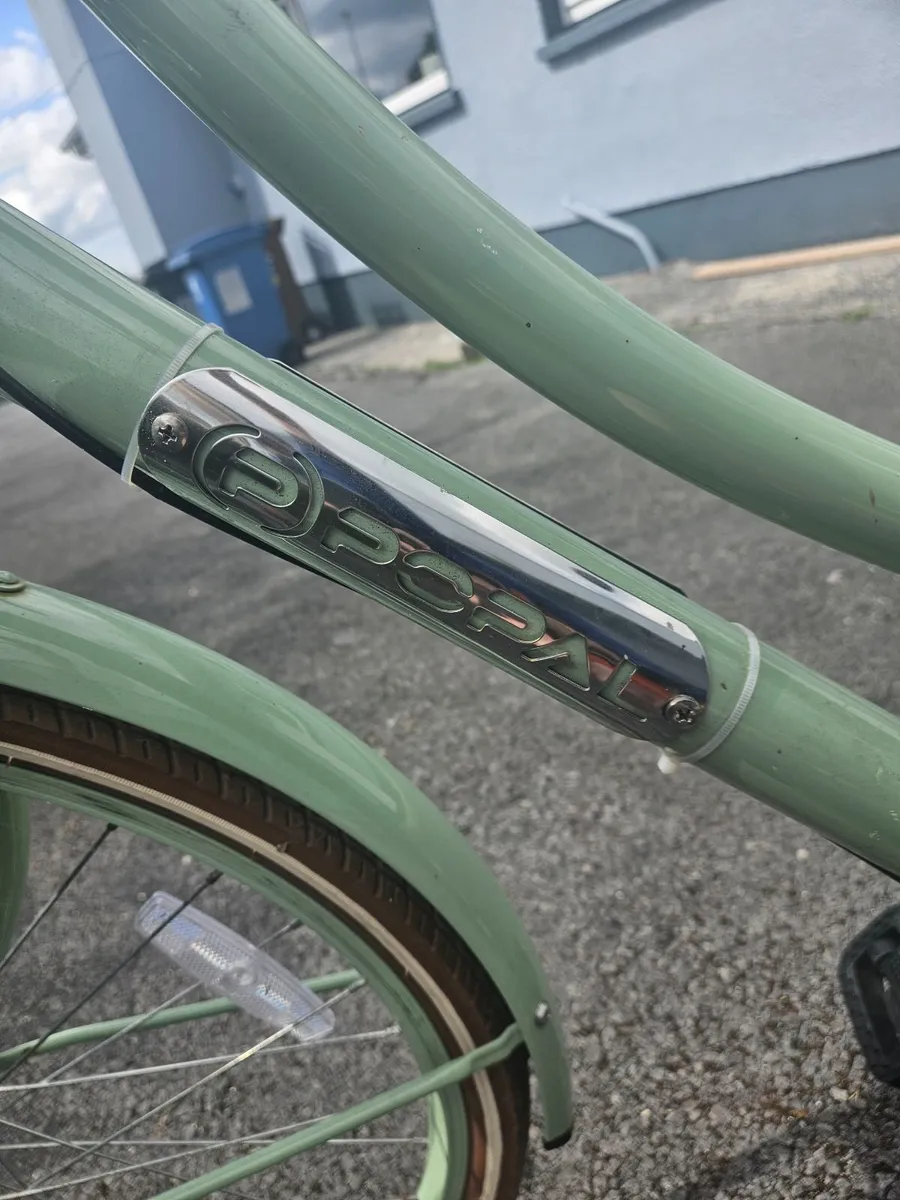 Popal Daily Dutch Basic 22 INCH - Image 3