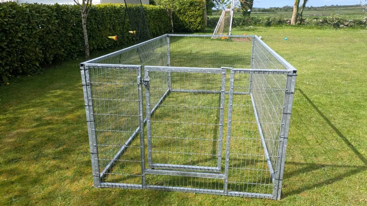 Dog run - Image 2