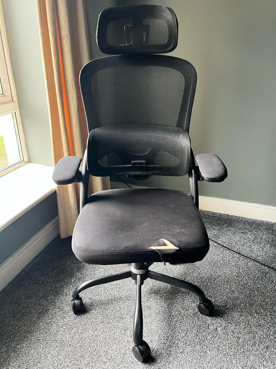 Ergonomic office chair - Image 1