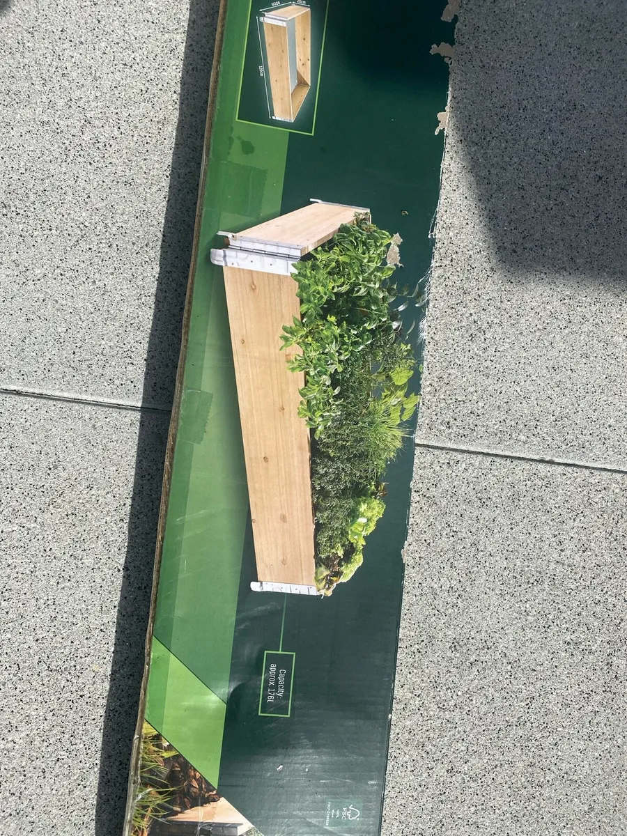 Raised planter/ veg/ pot - Image 2