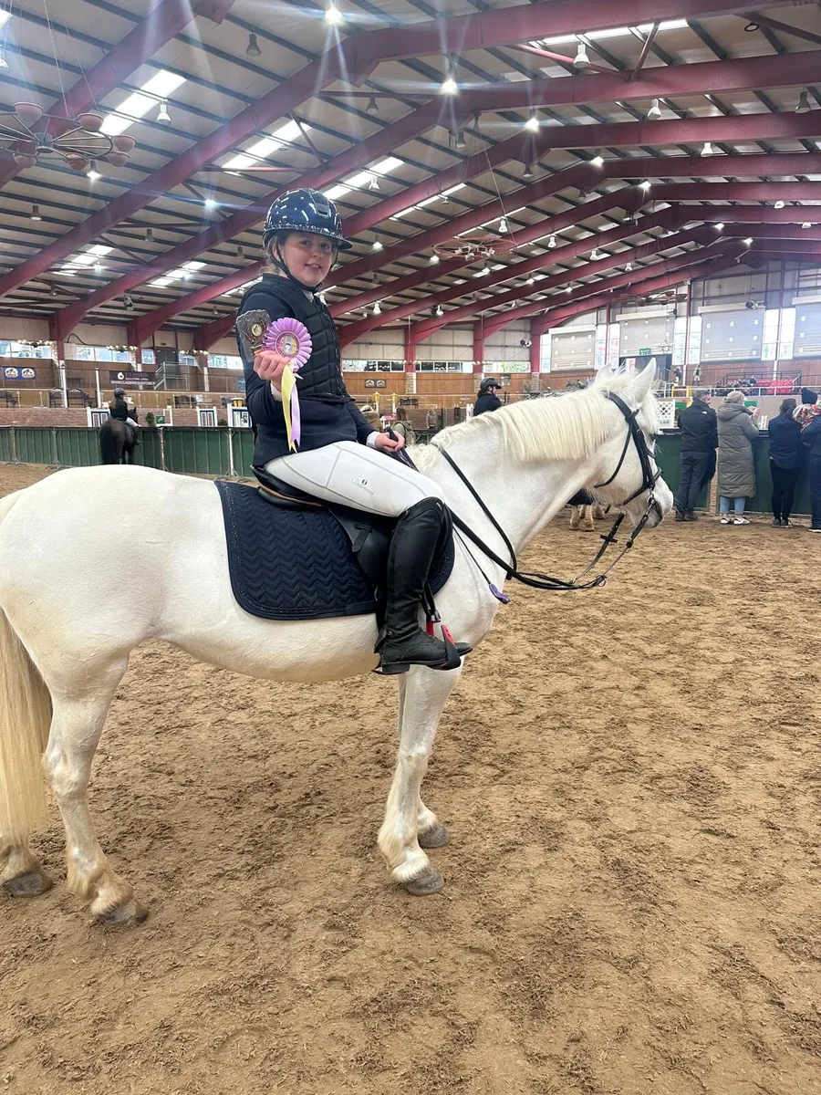 🌟138 SJI pony mare🌟 - Image 1
