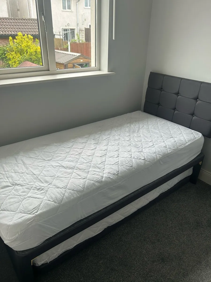 Single bed with pull out guest bed - Image 1