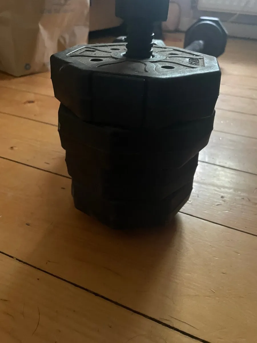 Weights - Image 2