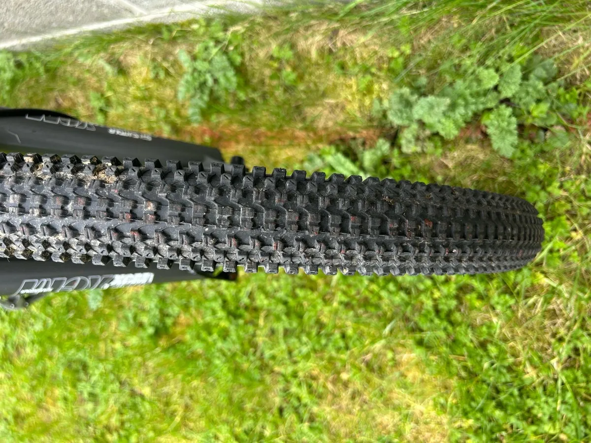 Bicycle - Image 4