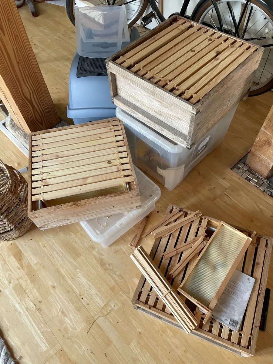 Bee keeping - Image 1