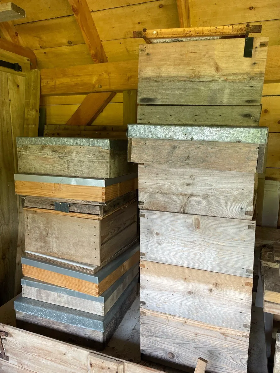 Bee keeping - Image 2