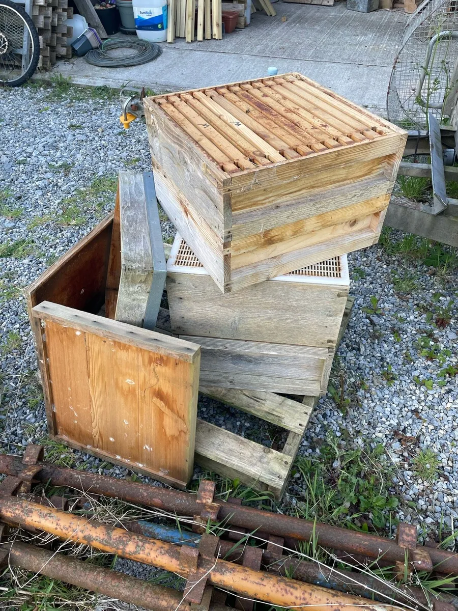 Bee keeping - Image 3