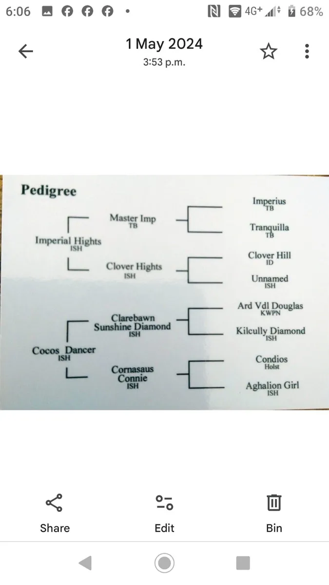 Golden Heights For Stud - Image 3