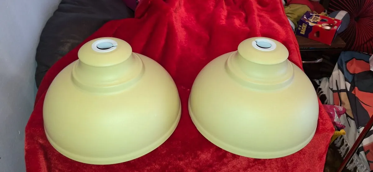 Ceiling Lampshades - Image 2