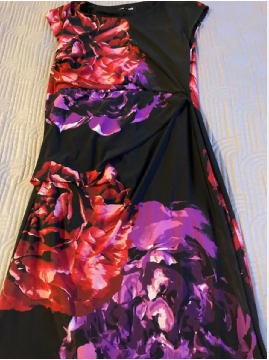 Stunning Debenhams The Collection dress Size 12 - Image 2