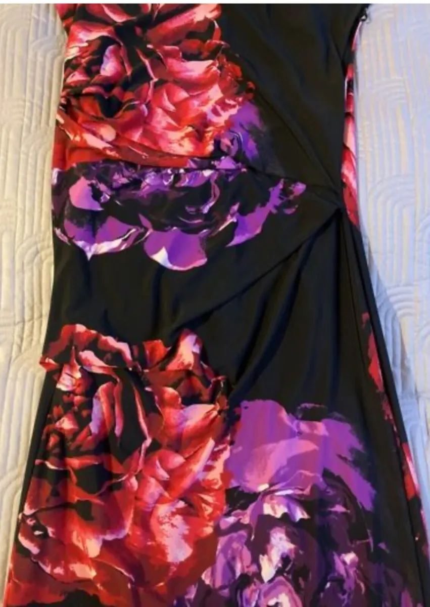 Stunning Debenhams The Collection dress Size 12 - Image 4